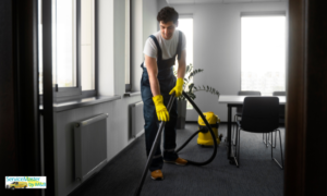 Sears carpet cleaning Chicago