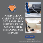 Upholstery Cleaning Service
